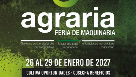 Noticia 23