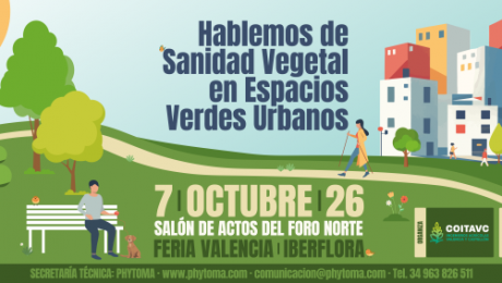 Noticia 4