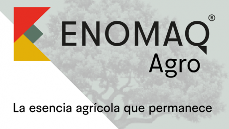 Noticia 2