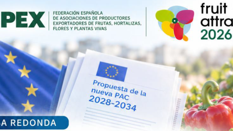 Noticia 4
