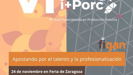 Noticia 5