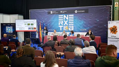 Noticia 13