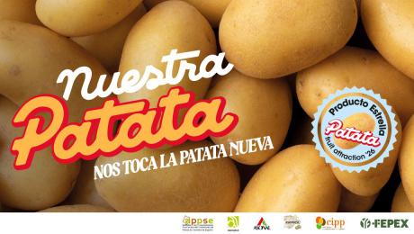 Noticia 7