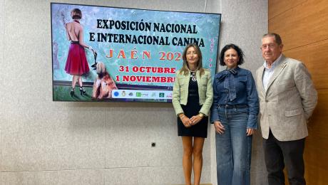 Noticia 2